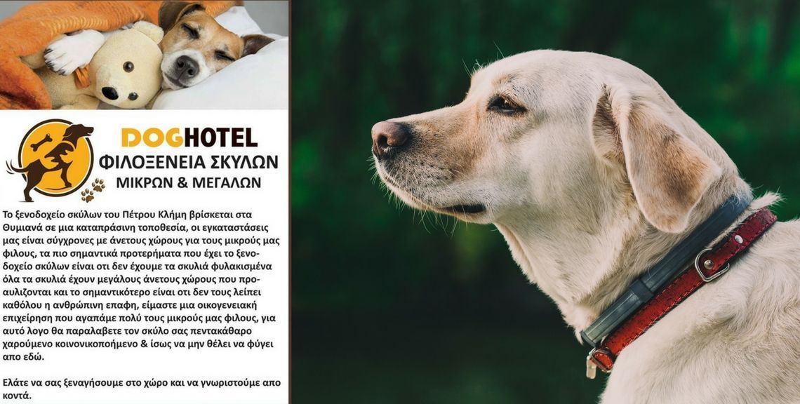 Dog Hotel - Ξενοδοχείο σκύλων - Χίος